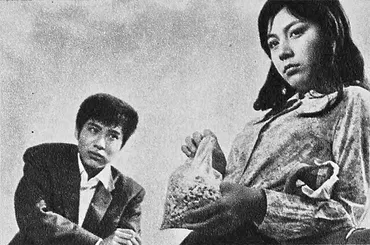 和泉雅子さんの輝かしい軌跡：女優、歌手、冒険家、多才な人生とは？日活三人娘から冒険家へ！和泉雅子の華麗なる転身