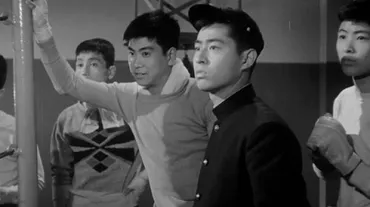 太陽の季節(1956)