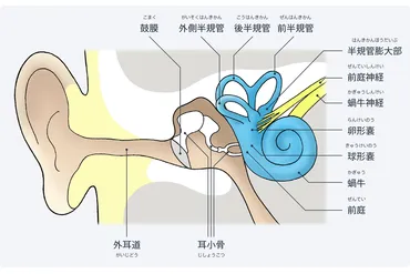 医師監修・作成］メニエール病の症状にはどんなものがあるか？ 
