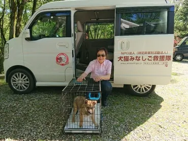 栃木拠点・5月9日 : NPO犬猫みなしご救援隊・代表ブログ・みなしご庵へようこそ