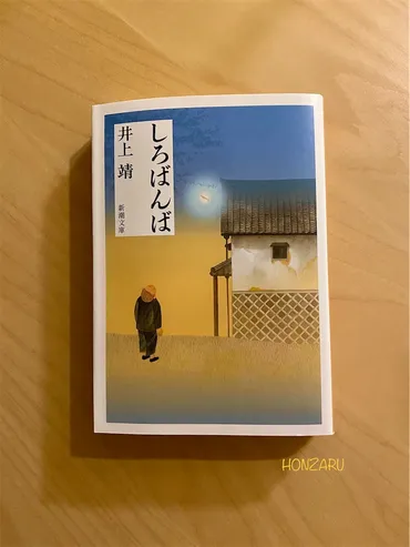 しろばんば』井上靖