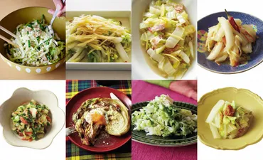 人気料理家の白菜レシピ8選】栗原はるみさん、平野由希子さん、和田明日香さん…残った白菜救済レシピでもう1品!