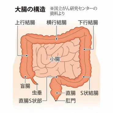 まさか私が? 直腸がんステージⅢbと診断 61歳記者の闘病生活