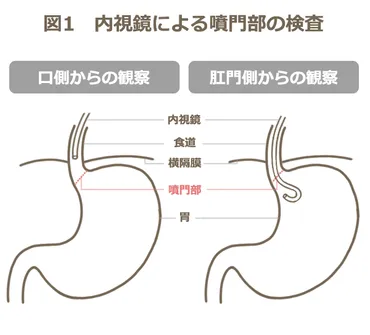 白い巨塔？〜時代を超えて語り継がれる医療ドラマの魅力〜医療ドラマ「白い巨塔」に見る現代医療と人間模様