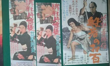 宮園純子の輝かしい軌跡：妖艶毒婦伝から水戸黄門まで、その魅力とは？宮園純子の映画、舞台、テレビドラマでの華麗なる活躍