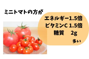 トマトのパワー! 栄養満載で美味しく健康に