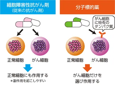 ステージⅣの肺がんと診断されました。薬物療法について教えてください