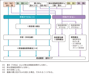 肺がん 非小細胞肺がん 治療:国立がん研究センター がん情報サービス 一般の方へ