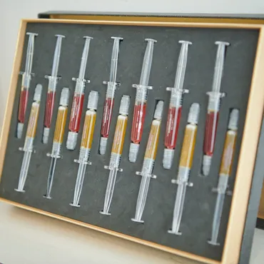 yoi クリエイターズ】 動物に関することやファッションの情報を発信していく高橋琴美です。よろしくお願いします!