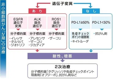 薬物治療はテーラーメード 遺伝子検査などで効果ある薬選択