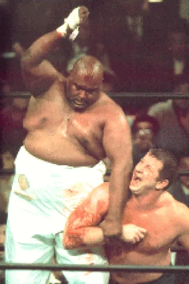テリー・ファンクの激闘と魂！プロレス界を彩った男の軌跡とは？テリー・ファンク：流血と友情、そしてレガシー