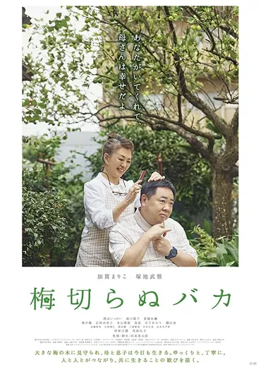 梅切らぬバカ : 作品情報・キャスト・あらすじ・動画
