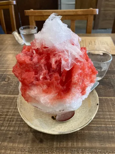 アラフィフと老後問題と加山雄三さん