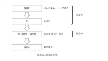 染色