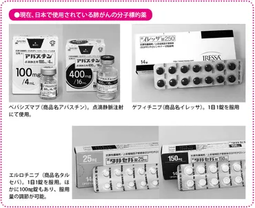 肺がんの「分子標的薬による治療」現在使用されている薬は?今後の動向は? – がんプラス