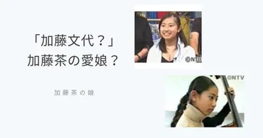 加藤文代のプロフィール!加藤茶の元嫁の間の3人子供?唯一の娘?芸能人?