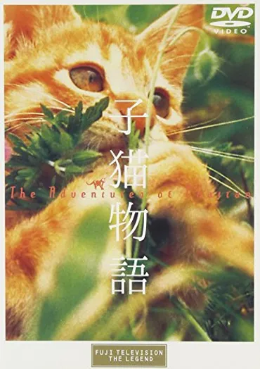 動物愛は不滅。ムツゴロウさんの猫物語/畑正憲「子猫物語」 