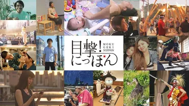 目撃!にっぽん『遺された声〜横井庄一の゛戦争゛〜』(NHK総合) – akasakacycle