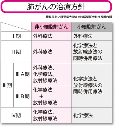 肺がんステージ4とは？生存率と治療法、希望を持って向き合うには？ステージ4の肺がんについて知っておきたいこと