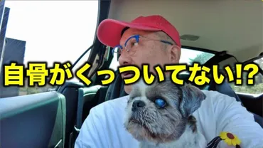 嫁より長生きしてしまいまして 