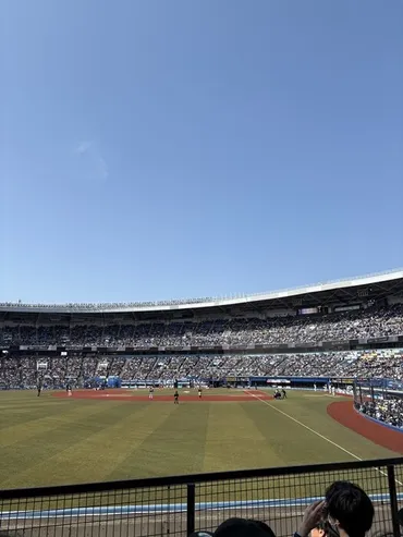 週末の我が家】娘は野球観戦＆親は株主優待券があったので「串カツ田中」へ : happy