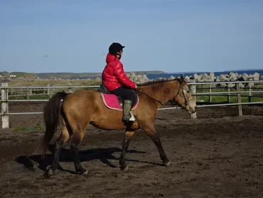 北太平洋シーサイドライン乗馬クラブ】予約・アクセス・割引クーポン 