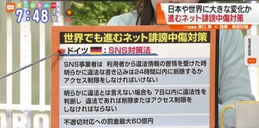 ネットの誹謗中傷…表現の自由も問われるなか、最善策は?