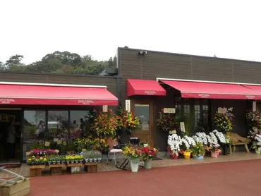 一夜城 ヨロイヅカ・ファーム（小田原市） スイーツ・デザート All About