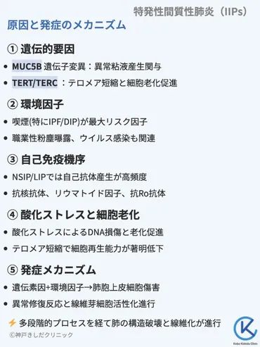 特発性間質性肺炎(IIPs. Idiopathic interstitial pneumonias)