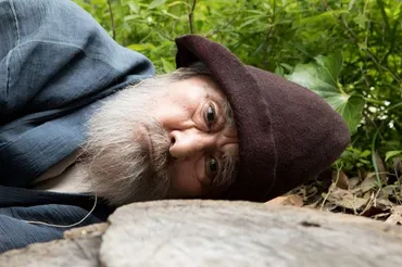 モリのいる場所:映画作品情報・あらすじ・評価