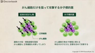 医師出演】肺がんの薬物治療：分子標的薬と免疫チェックポイント阻害薬の選び方とは 