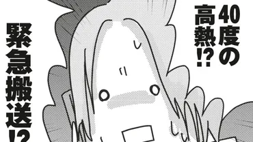 孫が綴る佐藤愛子さん 101歳の姿「40度の高熱で祖母が緊急搬送されたと施設からの連絡。とうとう《覚悟を決める時》がきたのかと…」【漫画】（婦人公論.jp）