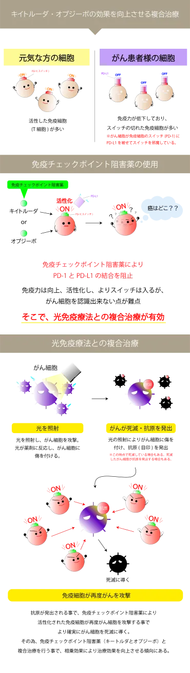 第４の治療「免疫療法」で用いられるオプジーボ(免疫チェックポイント阻害薬)について