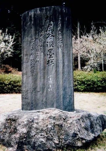 宇野千代の功績 