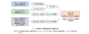 Q67さまざまな薬の中から,私に適した治療はどのように決まるのでしょうか