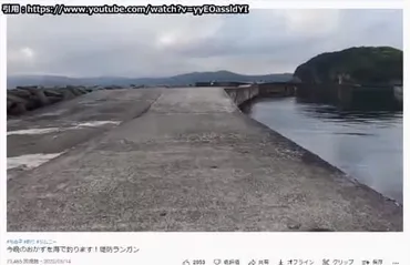 コレコレ生放送】YouTuber 「ちぬ子」立ち入り禁止の場所で釣りをし炎上