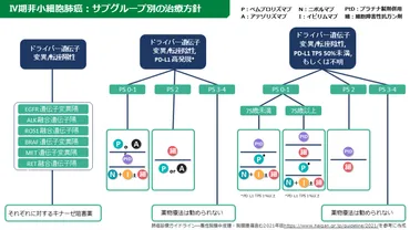 非小細胞肺がん治療薬まとめ(JSMO2022)
