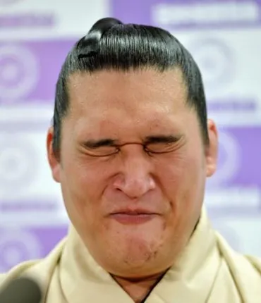 豊真将 現役引退表明「すごく寂しい」/スポーツ/デイリースポーツ online