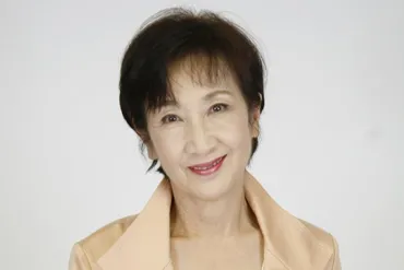 朝ドラ(連続テレビ小説)の魅力とは？ 歴代ヒロインと、その人気の秘密に迫る！時代を彩るヒロインたちと、視聴者を魅了する朝ドラの世界