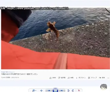 釣り系YouTuber、立ち入り禁止エリアで撮影 動画を非公開に