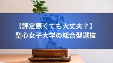 評定悪くても大丈夫？】聖心女子大学の総合型選抜 