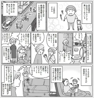 佐藤愛子と杉山桃子: 孫が描く101歳の作家の日常と介護、