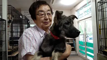 佐良直美に旦那は現在も過去もいない