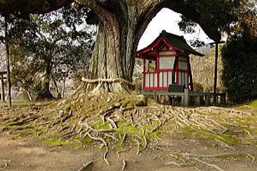 銭形平次 (大川橋蔵)