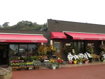 一夜城 ヨロイヅカ・ファーム（小田原市） スイーツ・デザート All About