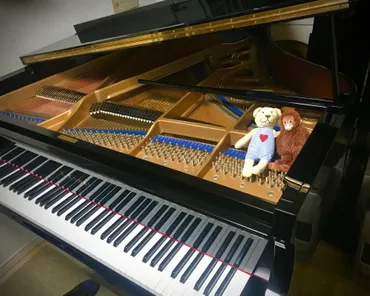 BECHSTEINの流れを継ぐ K.KAWAI KG