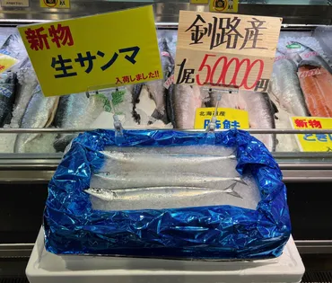 道東小型さんま漁業協 露水域サンマ枠削減を/水揚げ減で負担増大 / みなと新聞 電子版