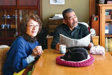 初恋~お父さん、チビがいなくなりました:映画作品情報・あらすじ・評価