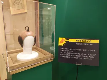 結成60周年記念 ザ・ドリフターズ展』に行ってきた : 早乙女チャンネル２