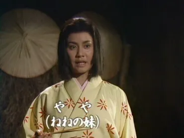 NHKおんな太閤記、第三回「同胞」登場人物と演者の情景 